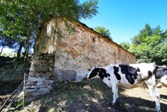 San Roque de Riomiera&nbsp;&nbsp;EL CERRO/2279