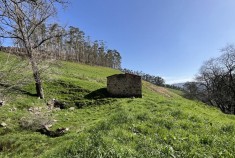 &nbsp;&nbsp;2 CABAÑAS/2384