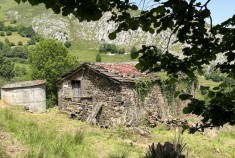 San Roque de Riomiera&nbsp;&nbsp;LAS SUERTE/2396