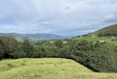 Selaya   ZERRO LIZO/2379