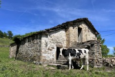 San Roque de Riomiera&nbsp;&nbsp;EL TEJO/2343