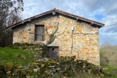 Selaya &nbsp;&nbsp; LABRANZAS/2386