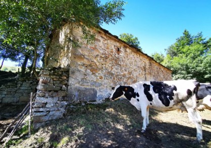 San Roque de Riomiera&nbsp;&nbsp;EL CERRO/2279