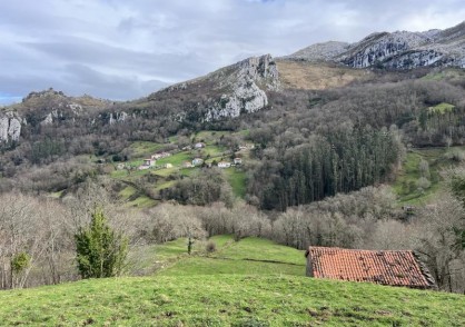 &nbsp;&nbsp;EL CAMPO/2385