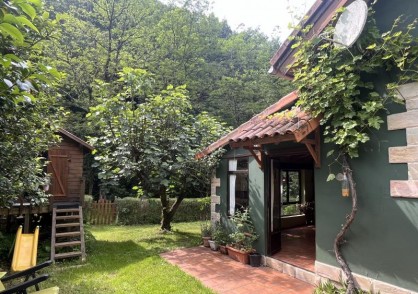 Mazcuerras &nbsp;&nbsp;LA BORONA/2374