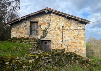 Selaya &nbsp;&nbsp; LABRANZAS/2386