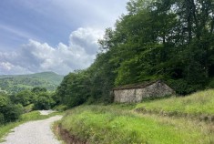 Selaya &nbsp;&nbsp;LA RENTERA/2395