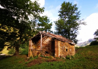 Valdicio &nbsp;&nbsp;CB-24-VALD/2212