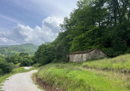 Selaya &nbsp;&nbsp;LA RENTERA/2395